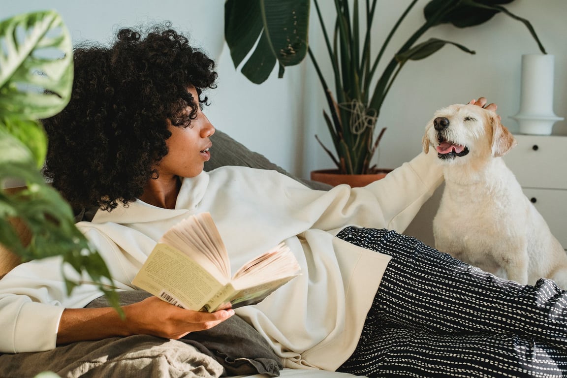 African American female in domestic clothes resting on comfortable sofa with book and stroking adorable puppy